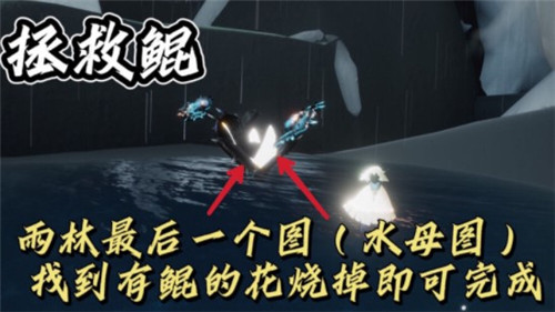 《光遇》2021年11月29日每日任務攻略