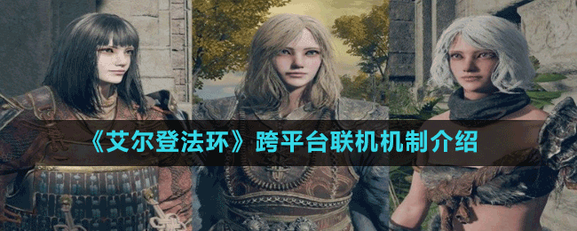 《艾爾登法環(huán)》跨平臺聯(lián)機機制介紹