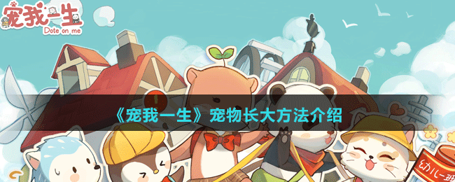 《寵我一生》寵物長(zhǎng)大方法介紹