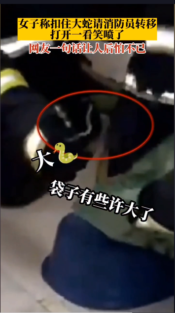 說這是大蛇多少有點(diǎn)夸張梗出處含義介紹