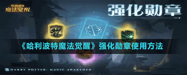 《哈利波特魔法覺醒》強(qiáng)化勛章使用方法