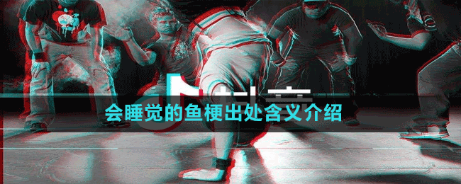 會睡覺的魚梗出處含義介紹