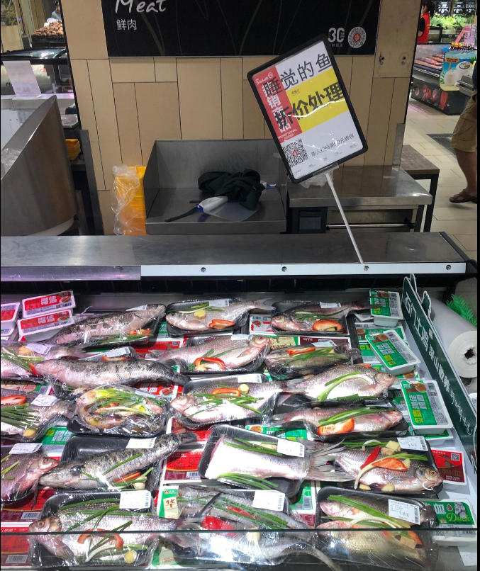 會睡覺的魚梗出處含義介紹
