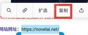 《novelai》圖像生成的內部測試地址分享