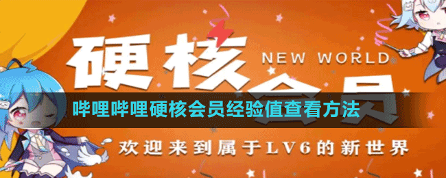 嗶哩嗶哩硬核會員經驗值查看方法