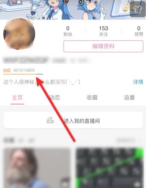 嗶哩嗶哩硬核會員經驗值查看方法