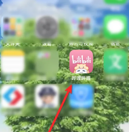 嗶哩嗶哩硬核會員經驗值查看方法