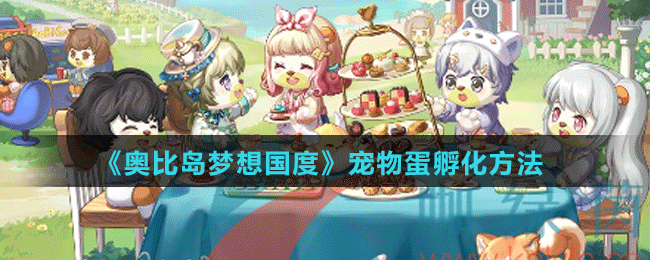 《奧比島夢(mèng)想國(guó)度》寵物蛋孵化方法