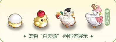 《奧比島夢(mèng)想國(guó)度》寵物蛋孵化方法