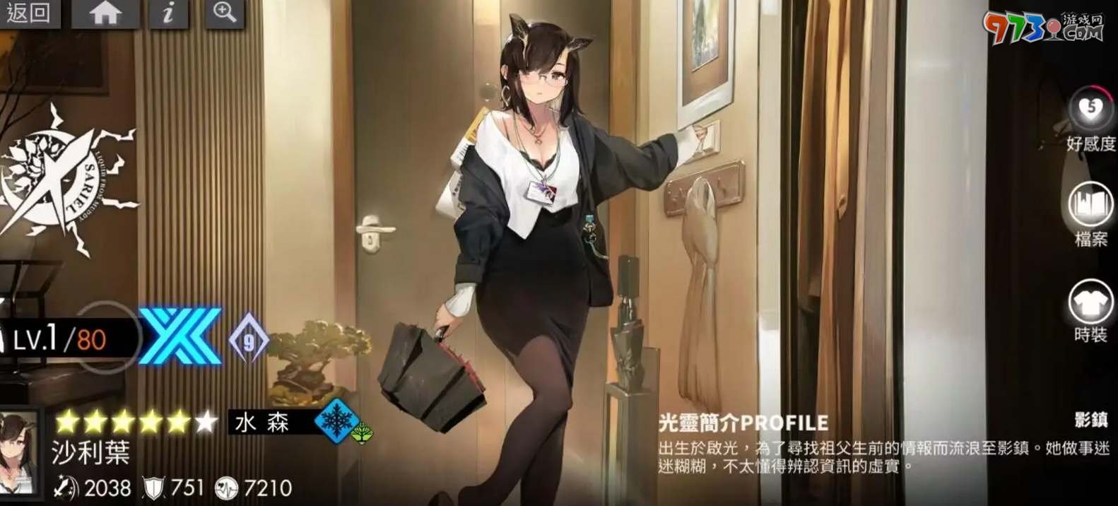 《白夜極光》水隊陣容搭配