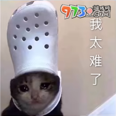 我不會(huì)維魯斯梗的意思介紹