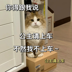 《抖音》公主請(qǐng)上車梗的意思介紹
