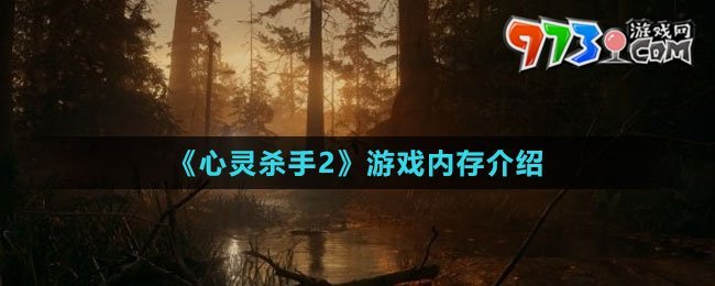 《心靈殺手2》游戲內(nèi)存介紹