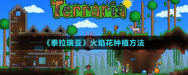 《泰拉瑞亞》火焰花種植方法