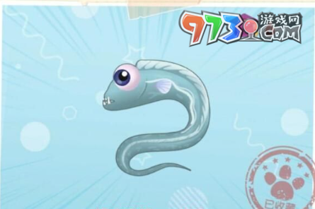 《摩爾莊園》帶魚(yú)釣魚(yú)位置