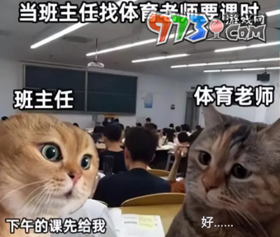 《抖音》貓貓對(duì)話梗的意思介紹