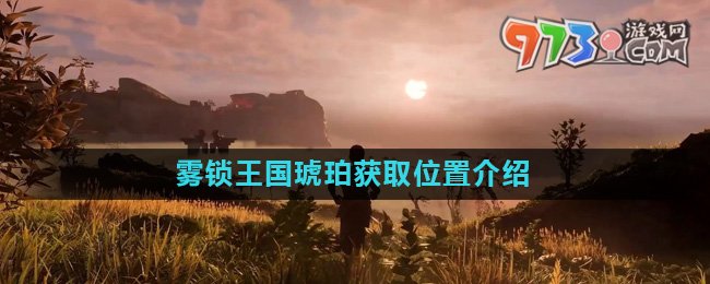 《霧鎖王國(guó)》琥珀獲取位置介紹