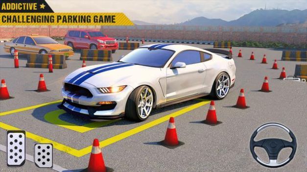 3D停車場駕駛截圖(1)
