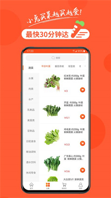 小兔買(mǎi)菜截圖(2)