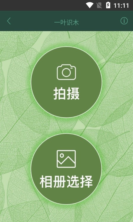 一葉識木截圖(4)