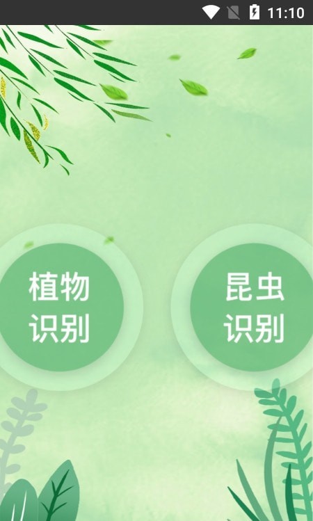 一葉識木截圖(1)