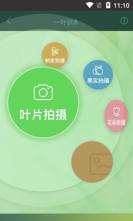 一葉識木截圖(3)