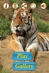 猛虎拼圖截圖(4)
