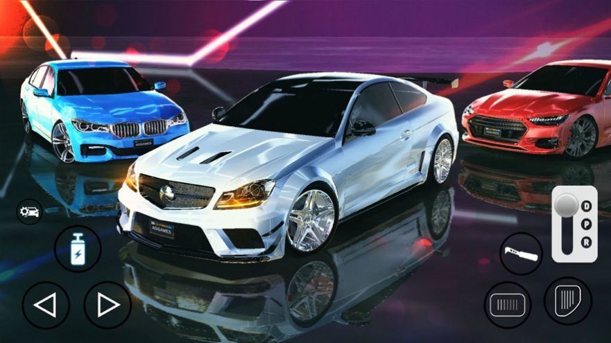 真車(chē)駕?？荚嚱貓D(2)