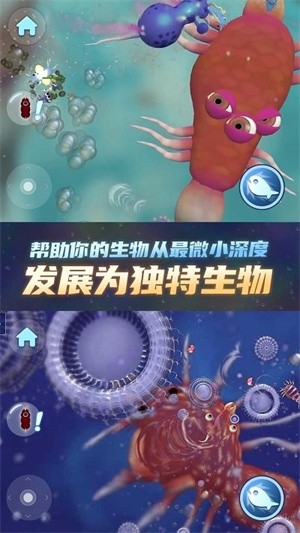 物種進化器截圖(2)