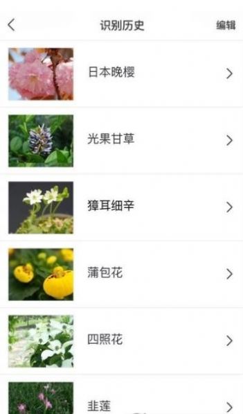 識花大師截圖(1)