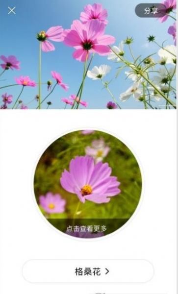 識花大師截圖(2)