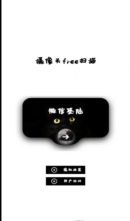 網(wǎng)絡(luò)攝像頭檢測器截圖(2)