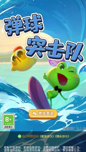 彈球突擊隊(duì)截圖(2)