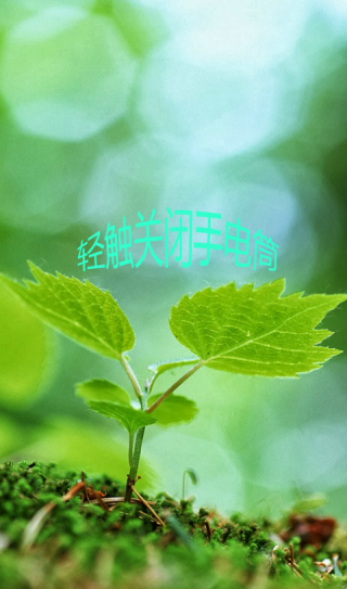 護(hù)眼手電筒截圖(2)