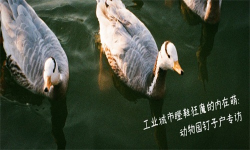 豆瓣音樂截圖(2)
