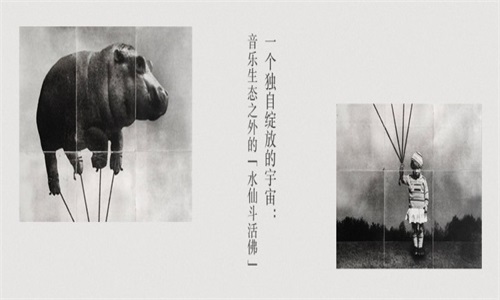 豆瓣音樂截圖(3)