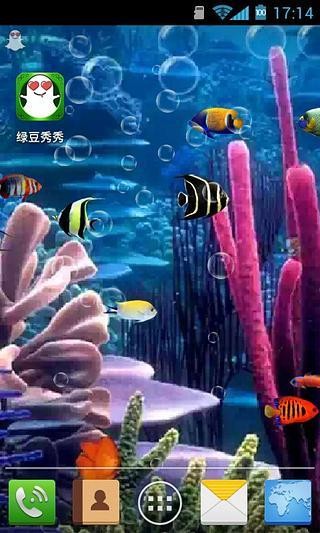 珊瑚里的魚綠豆動態(tài)壁紙截圖(4)