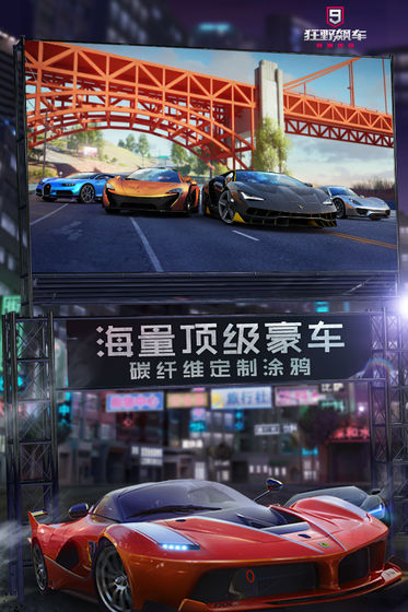 布加迪威龍競(jìng)速賽截圖(4)