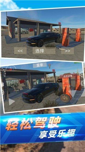 真實(shí)汽車(chē)碰撞截圖(2)