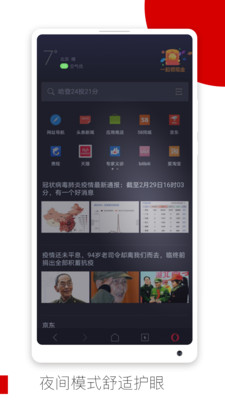 歐朋瀏覽器經典版截圖(4)