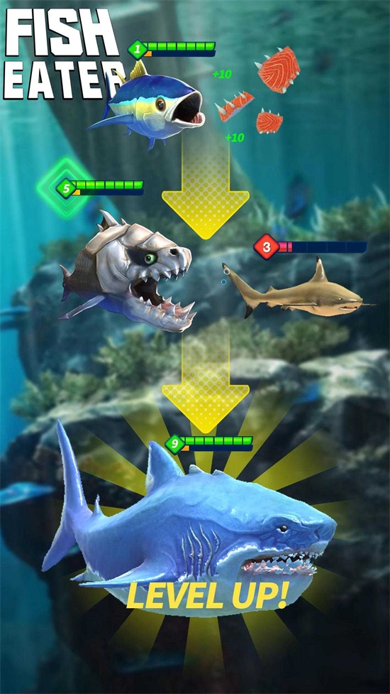 鯊魚(yú)進(jìn)化論內(nèi)購(gòu)版截圖(4)