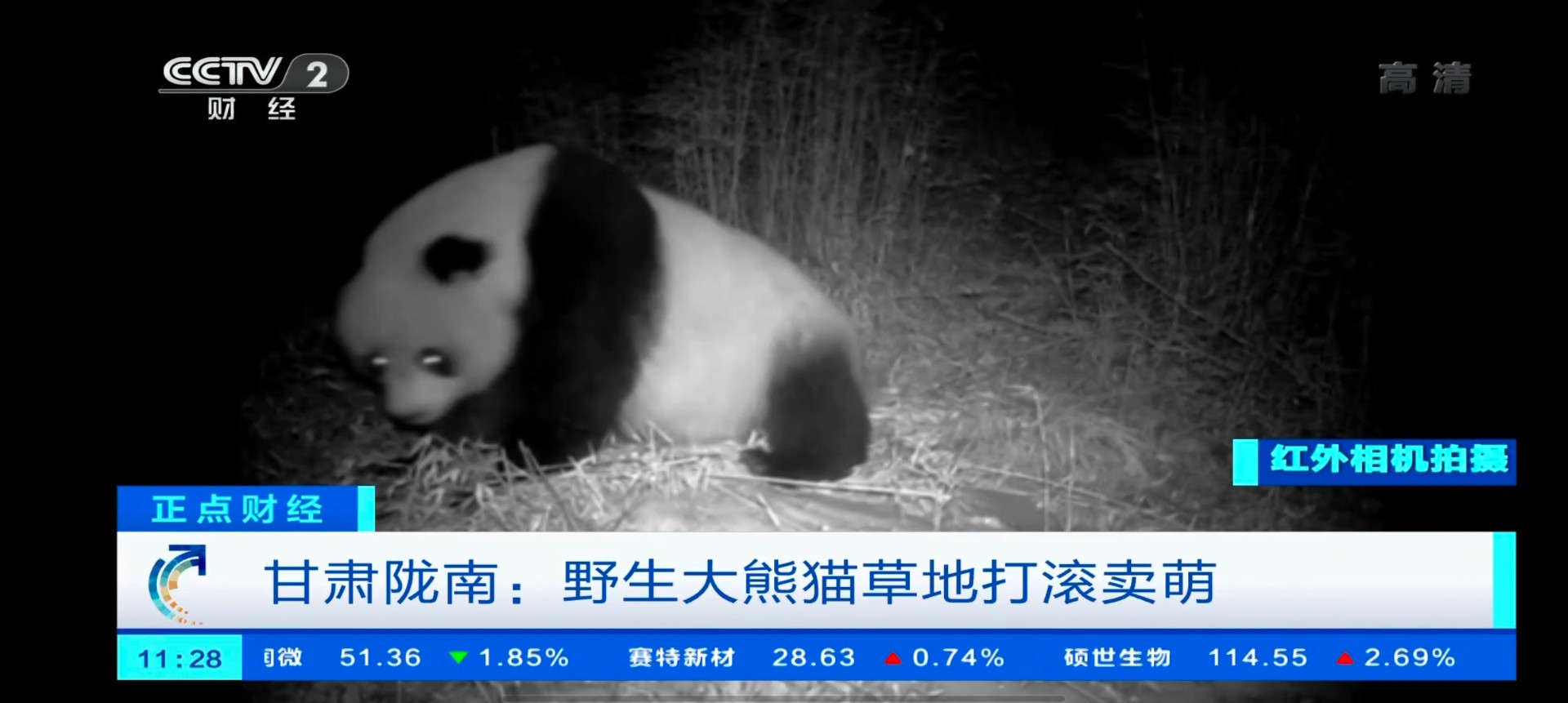 小小TV港澳臺(tái)版截圖(1)