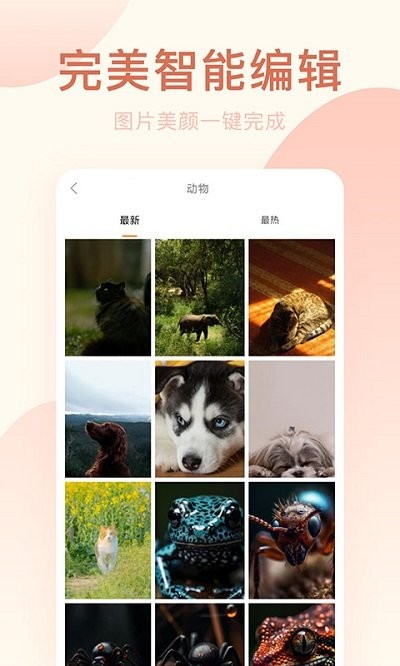 激甜相機截圖(4)