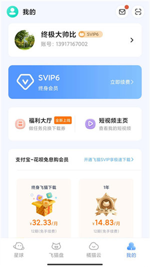 飛貓云白嫖版截圖(4)