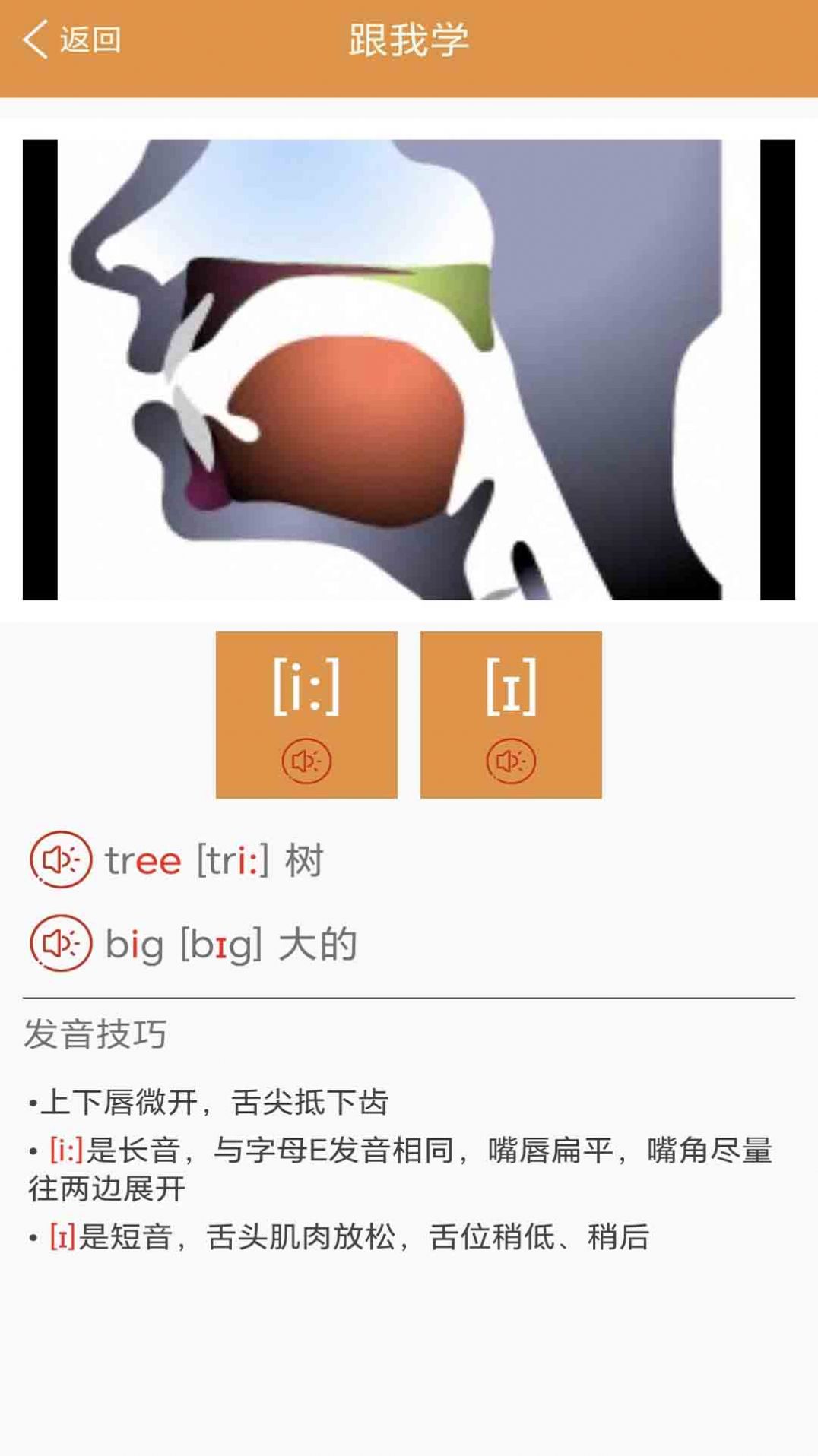 大貓英語國際音標(biāo)截圖(1)