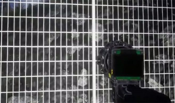 詭異的動物園截圖(2)