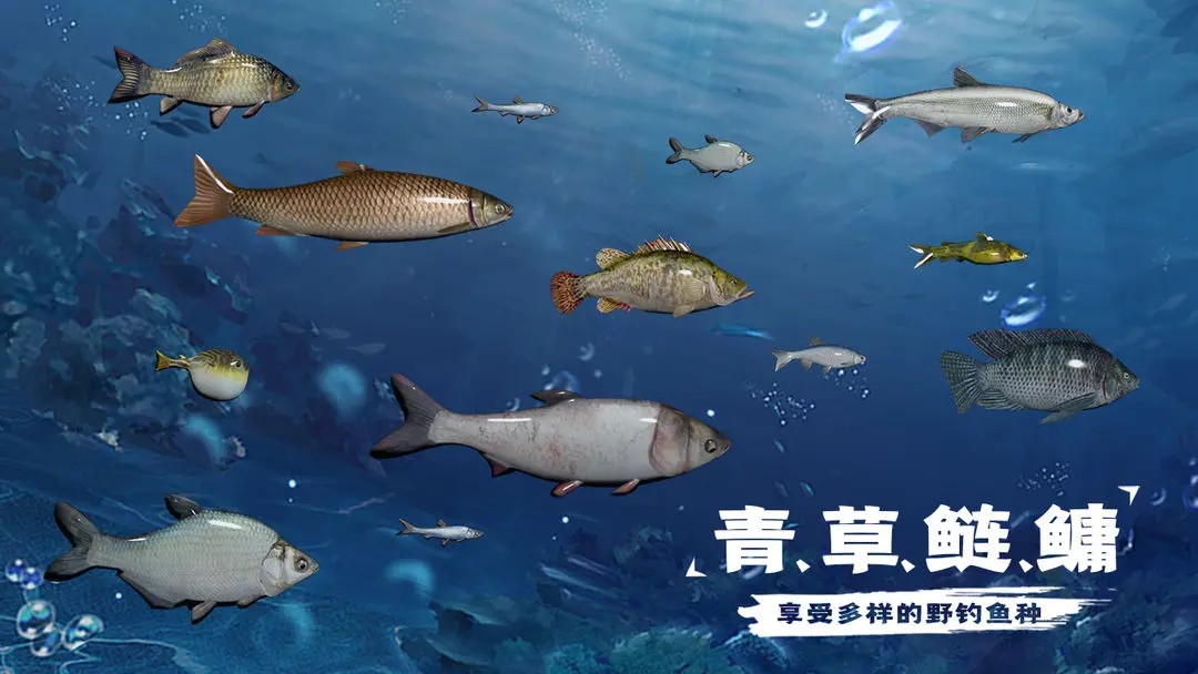 天天釣魚最新版本截圖(1)