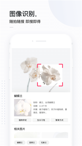 簡(jiǎn)單搜索手機(jī)版截圖(2)