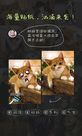 萌寵相機截圖(3)
