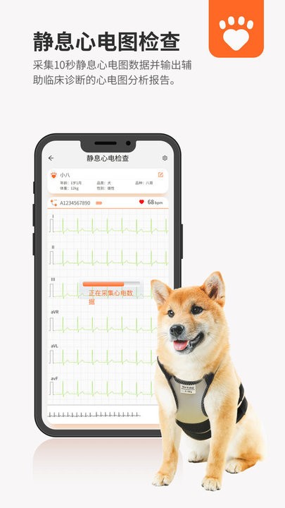 星愛寵截圖(1)